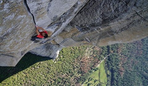 Free Solo