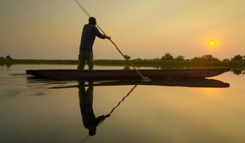 Into the Okavango